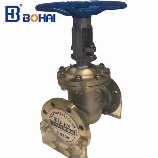 Cast Iron/Wcb/SS304 4 Inch Non Rising Resilient Seat Flanged Pn 16 Industrial Control Gate Valve