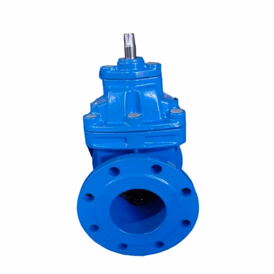 Ductile Iron/Wcb/Stainless Steel Industrial Control Gate Valve with Resilient Seating